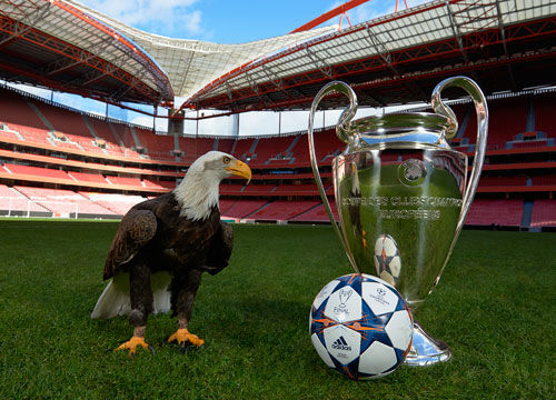 张耀坤：年轻人想踢上中超不易；现在的青训太功利忽略基本功（张耀坤：年轻球员跻身中超不易，当前青训过于功利忽视基本功）